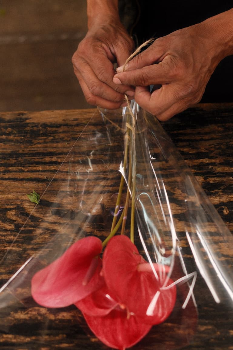 Hands wrapping red anthurium bouquet in cellophane